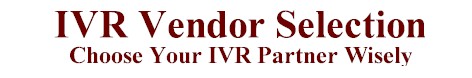 IVR Vendors Selection