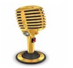 professional voice recording for business and store locator phone system