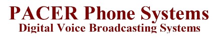 digital voice broadcast system
