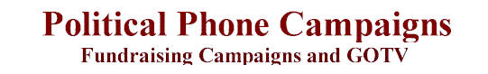 Interactive political marketing system