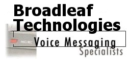 voice services provider