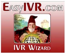 ivr software wizard